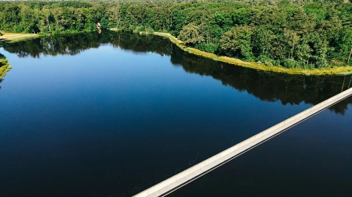 Ready to bridge the gap with ELVI Partners?