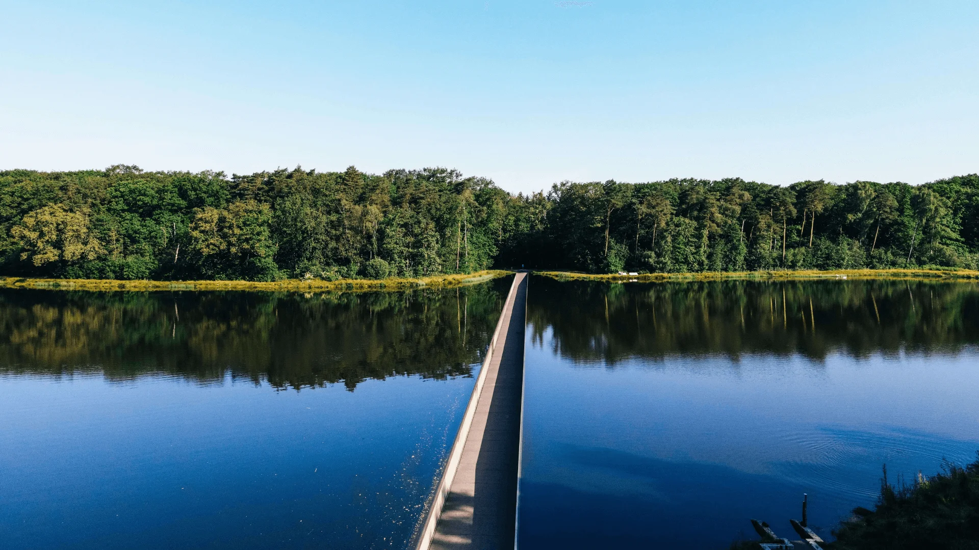 Ready to bridge the gap with ELVI Partners? 